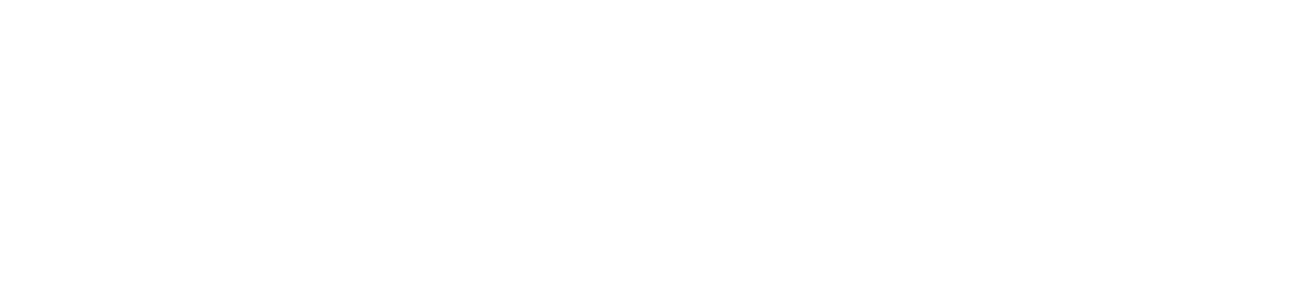 Bloss_Logo_Wit_DEF