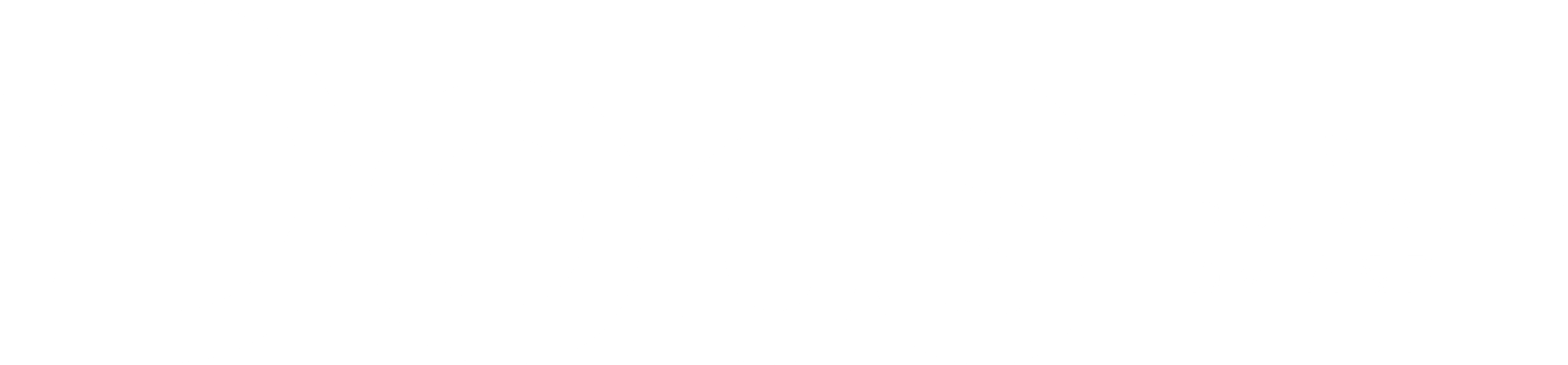 Dots_Logo_Wit_DEF