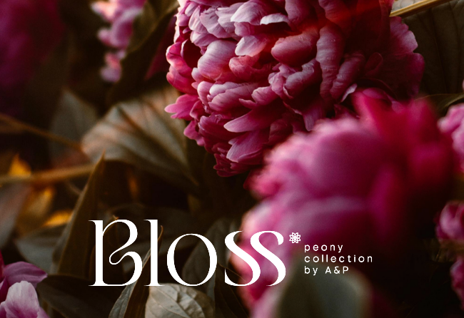 Bloss_Peonies