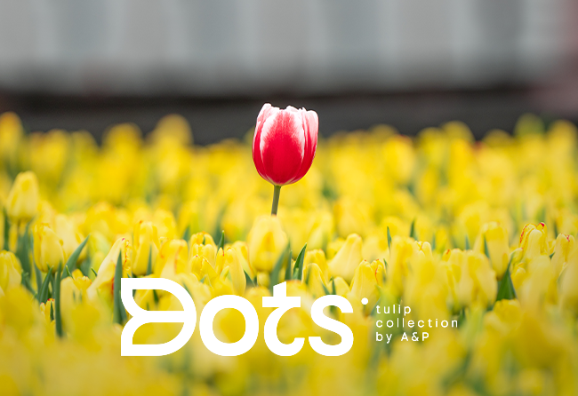 Dots_Tulips