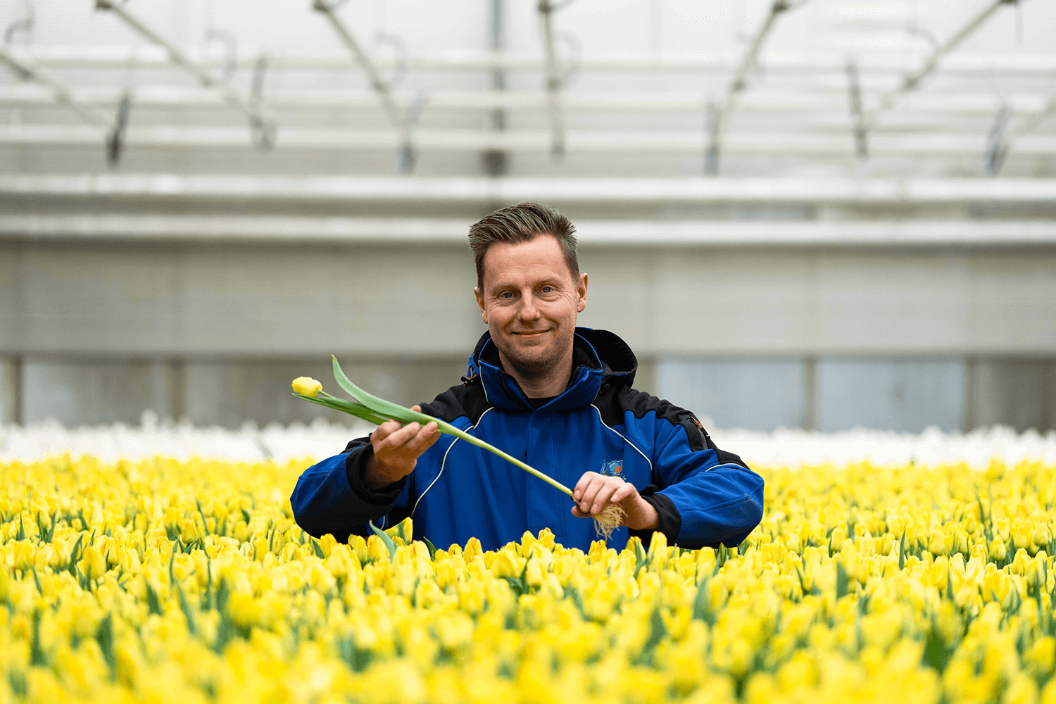Historie A&P Flowers